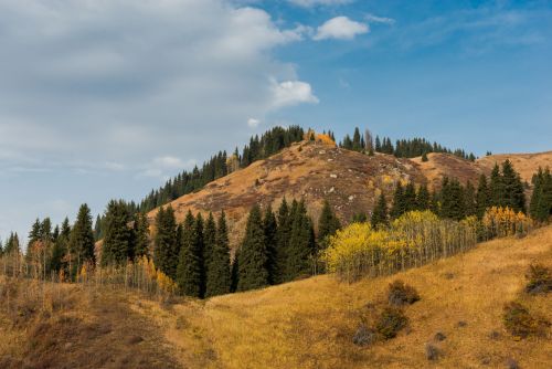 Rozvoj zemědělství v Kazachstánu otevírá příležitosti pro české vývozce a investory